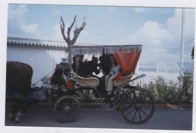 moi et mes cousines